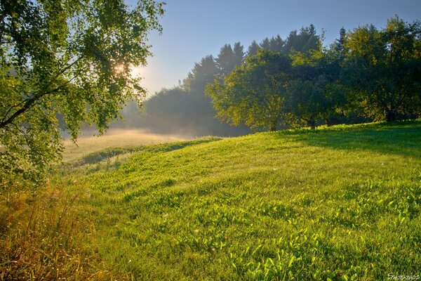 Heuhaufen in der Natur, tolle Landschaft