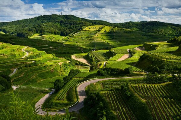 Paisaje de un viaje a tierras cultivadas