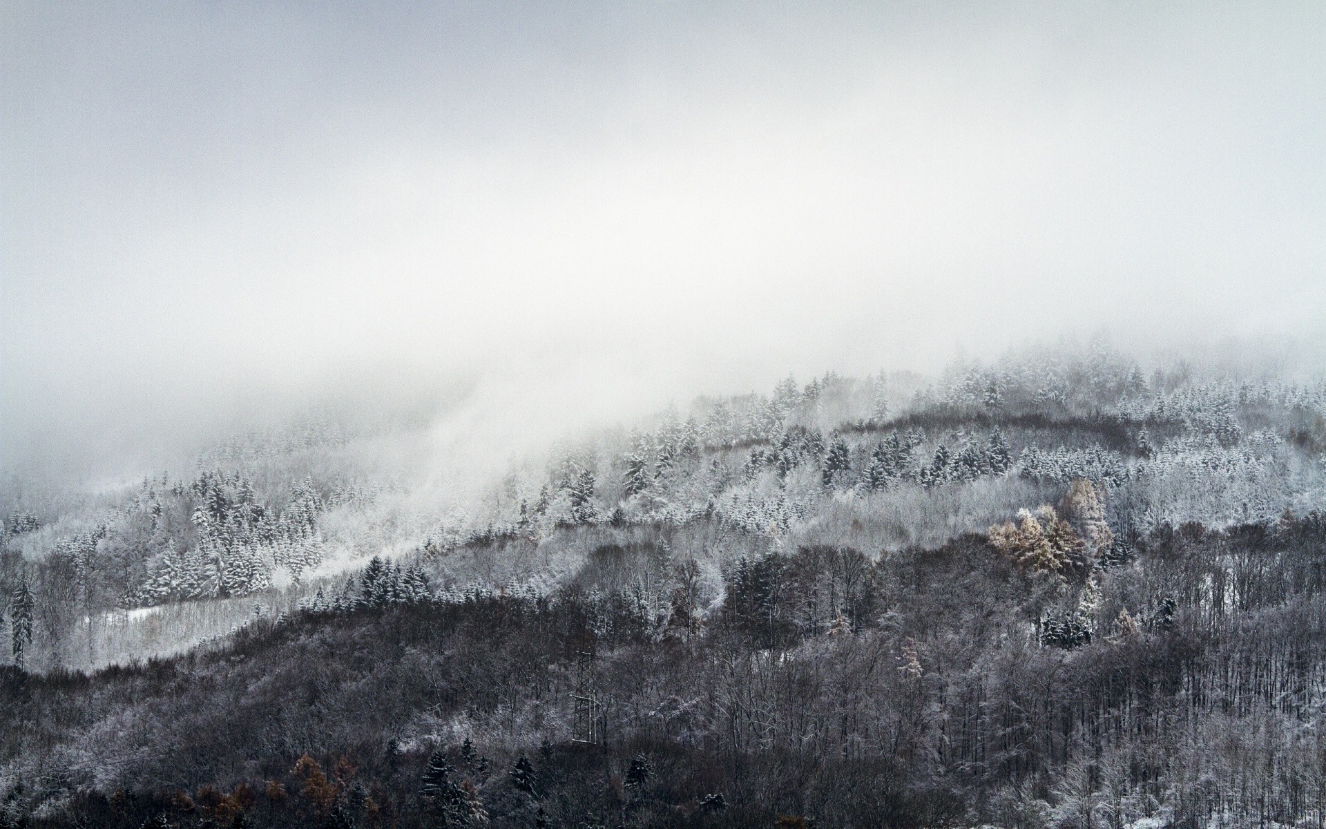 europe winter snow fog landscape cold nature mist frost ice tree weather frozen wood outdoors sky travel mountain storm