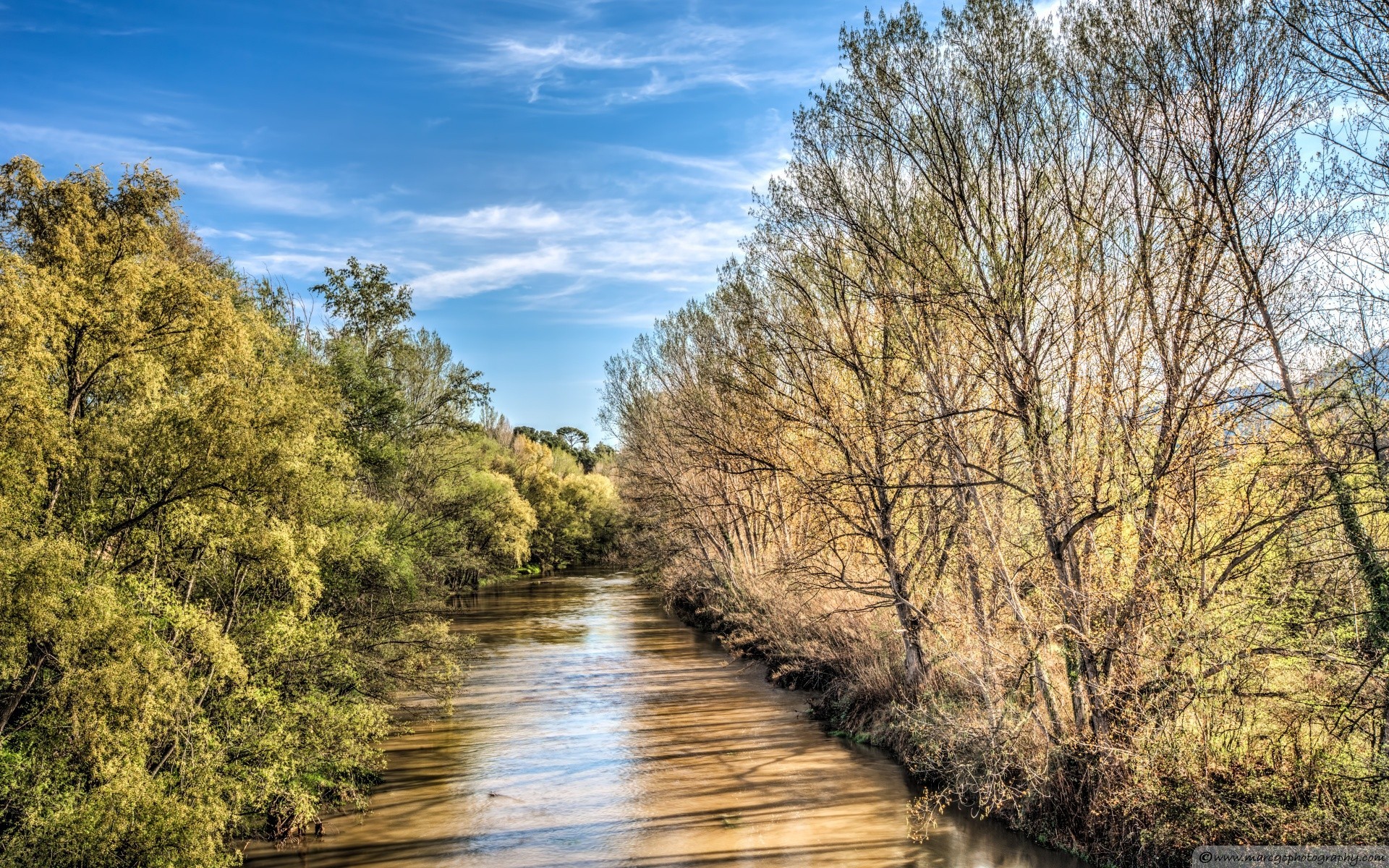 europa baum landschaft natur holz himmel saison park fluss see wasser im freien landschaftlich flora umwelt zweig ländlich reflexion landschaft gutes wetter blatt