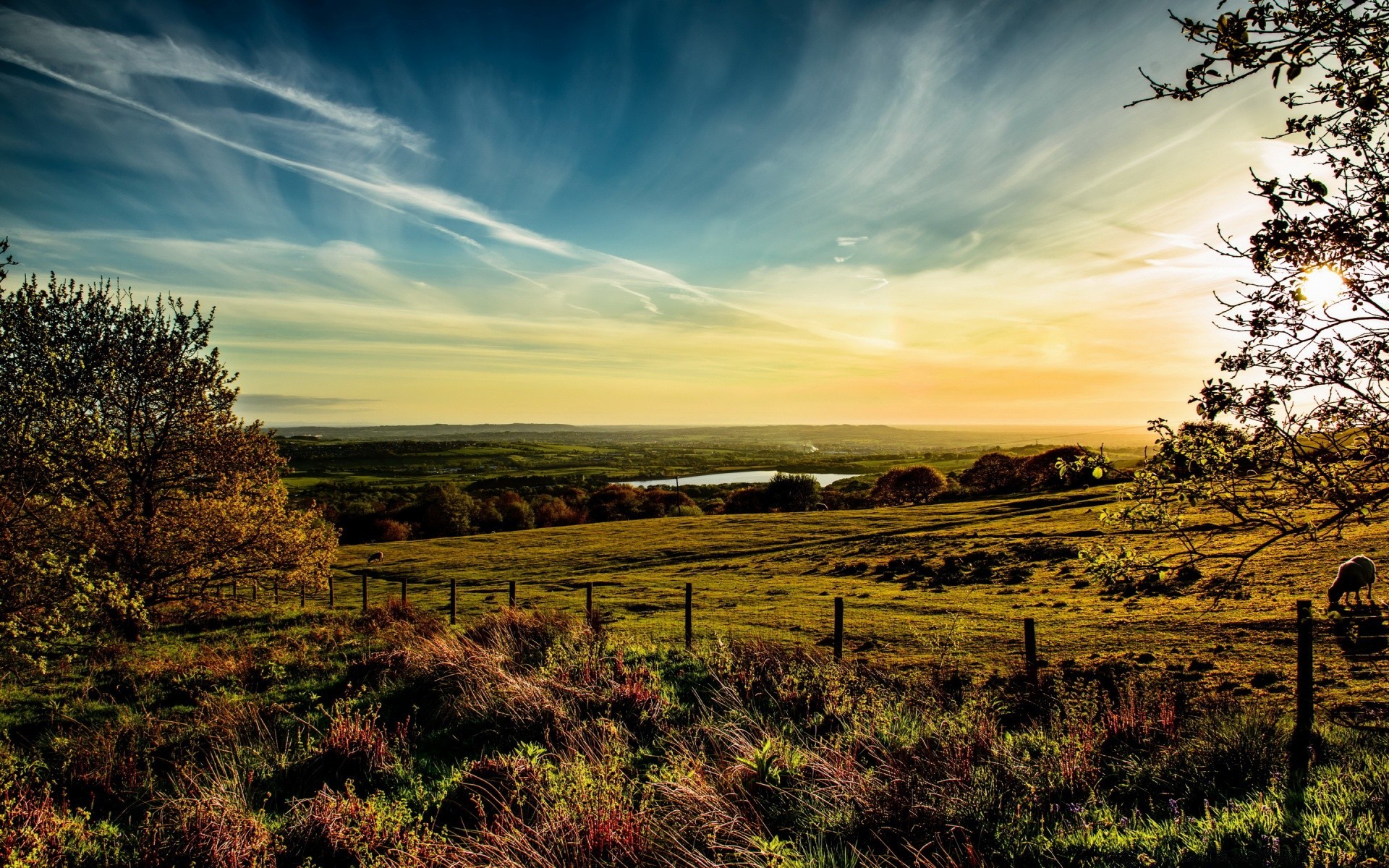 europe landscape tree nature sky sunset outdoors rural field grass countryside dawn wood fall sun light fair weather agriculture country hayfield