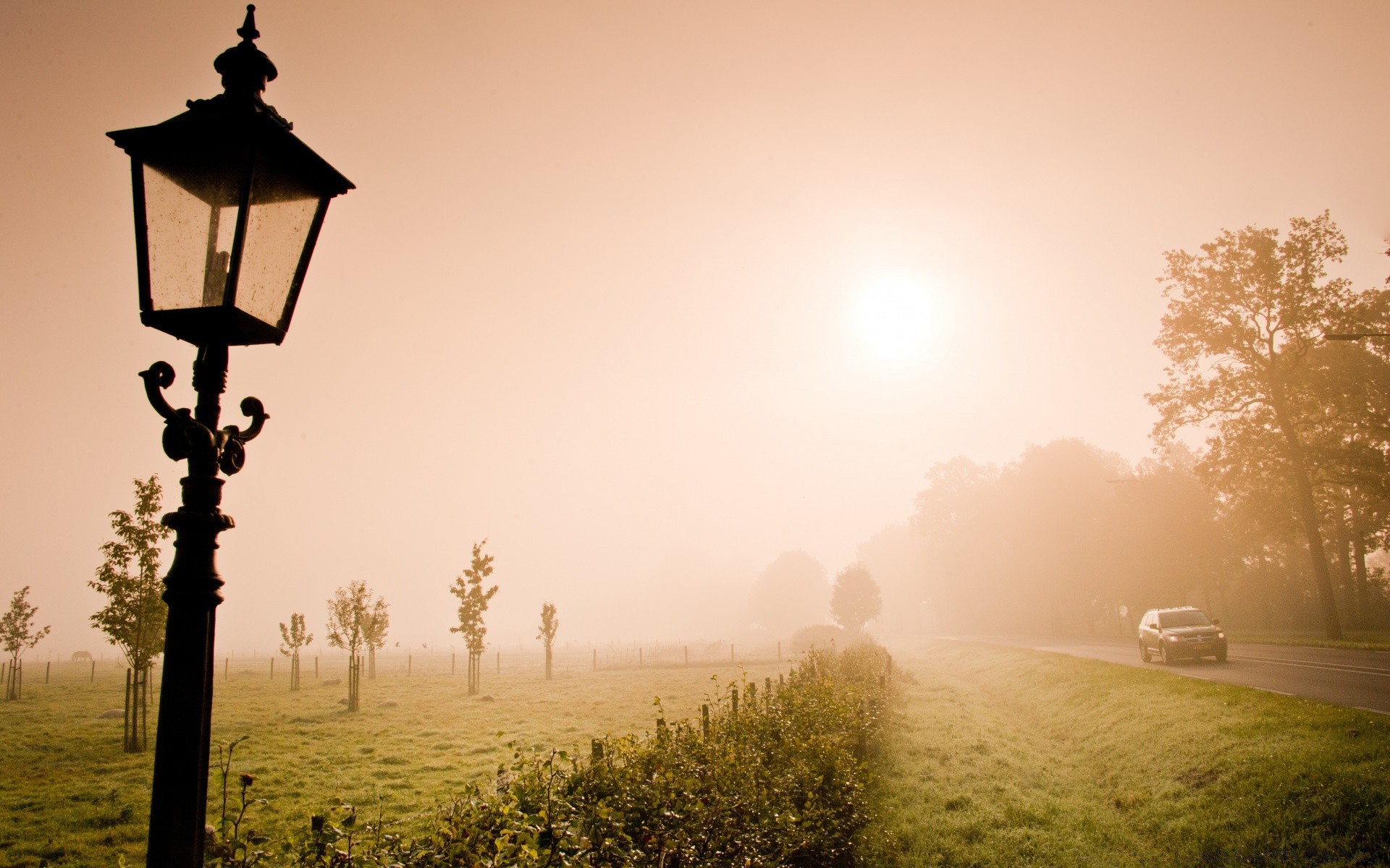 europe fog sunset dawn mist nature sun outdoors evening sky light landscape silhouette summer tree dusk travel water