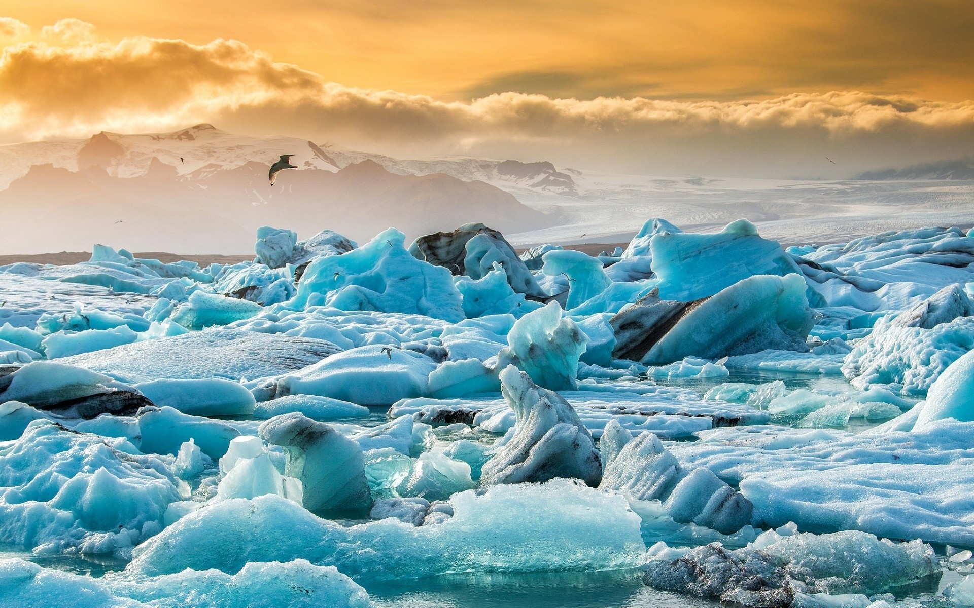 europa iceberg ghiaccio acqua gelido neve fusione mare ghiacciaio freddo oceano inverno paesaggio nuoto congelato viaggi natura cielo