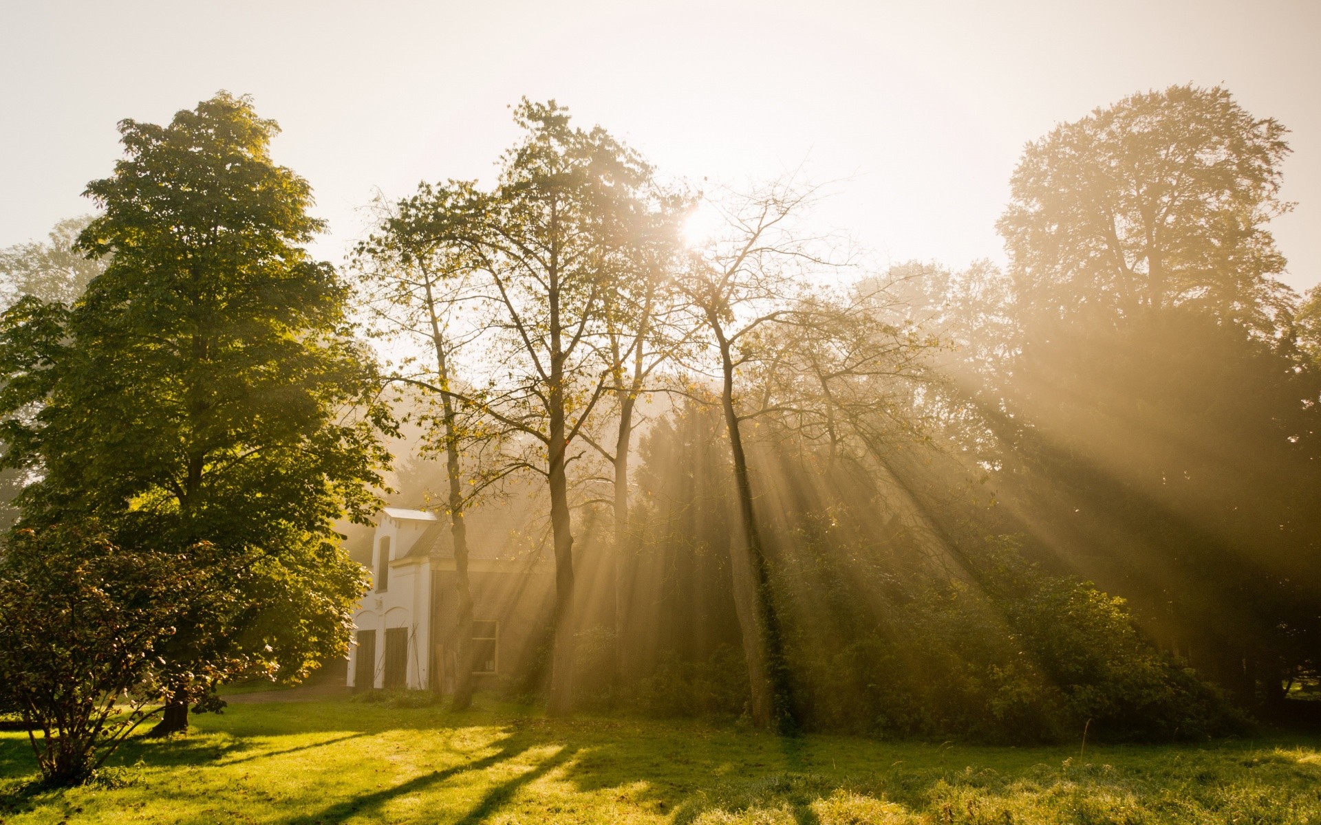 europa nebbia paesaggio albero nebbia alba natura campagna sole legno autunno rurale strada parco bel tempo tempo scenico stagione foglia erba luce