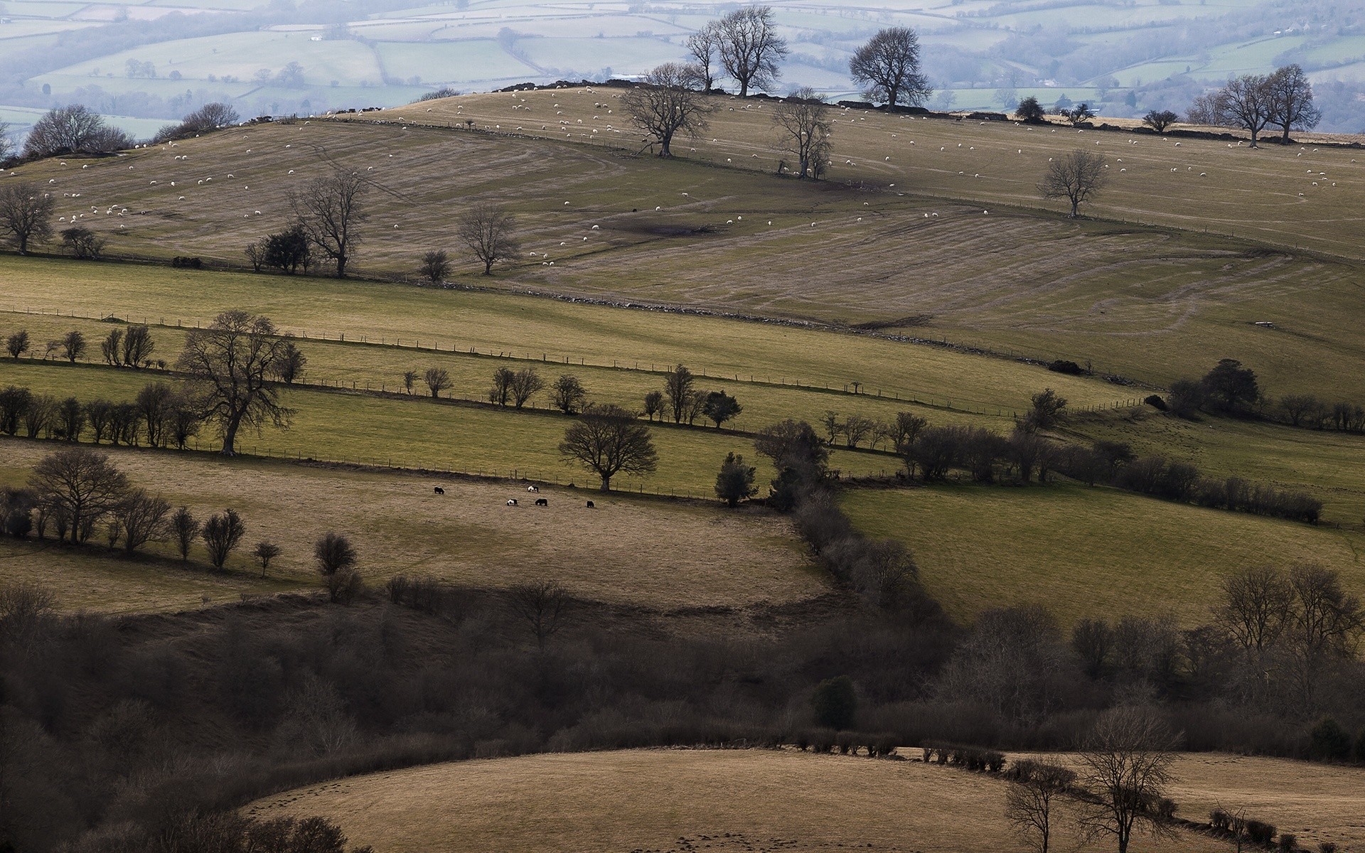 europa landschaft landwirtschaft im freien hügel bebautes land reisen weiden landschaftlich baum wüste bauernhof