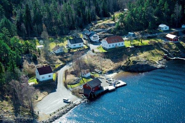 Beautiful landscape with houses and forest