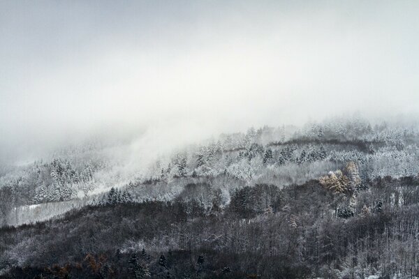 Schöne Landschaft mit Nebel und Schnee