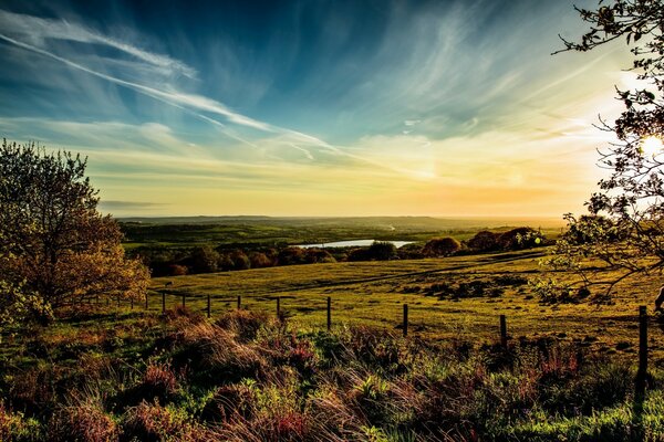 Paysage de nature européenne. Arbre et ciel