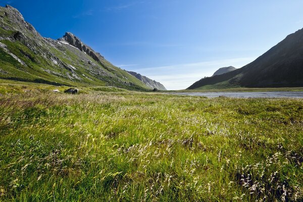 Wiesengras und Berge