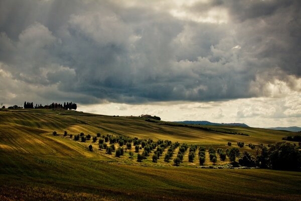 Agriculture in Europe landscape