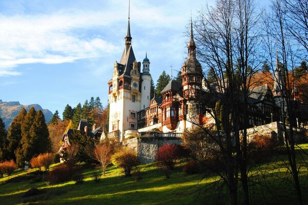 The unity of the Church and nature