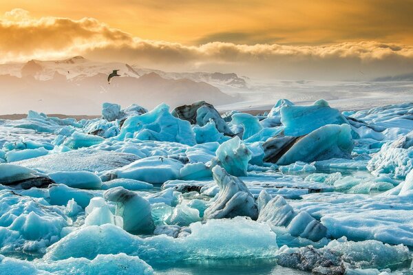 Eisblöcke eines zerbrochenen Eisbergs