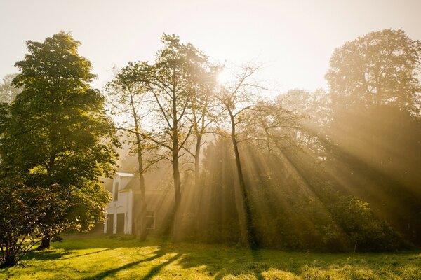 Inviting fog. European landscape