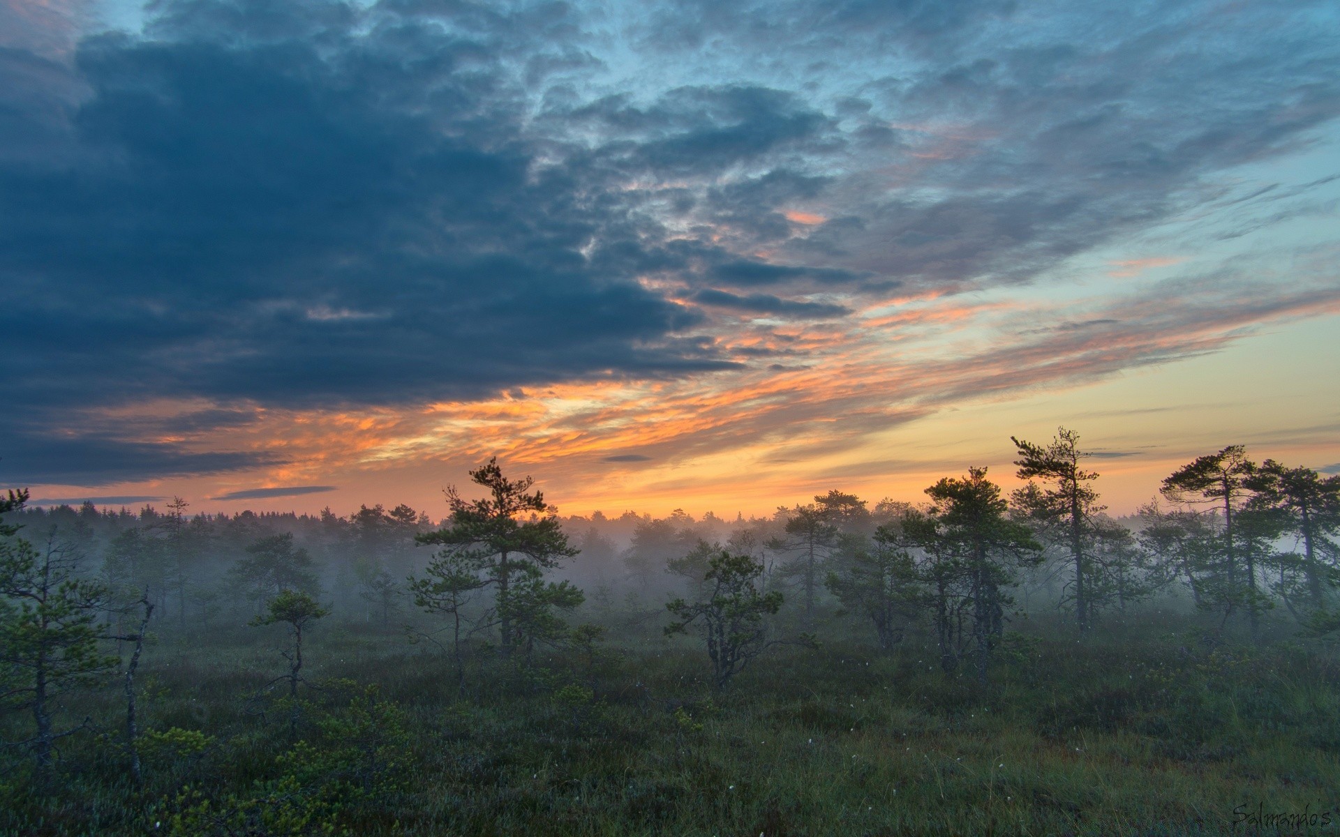 europa zachód słońca krajobraz świt drzewo natura niebo wieczorem na zewnątrz zmierzch słońce podróże