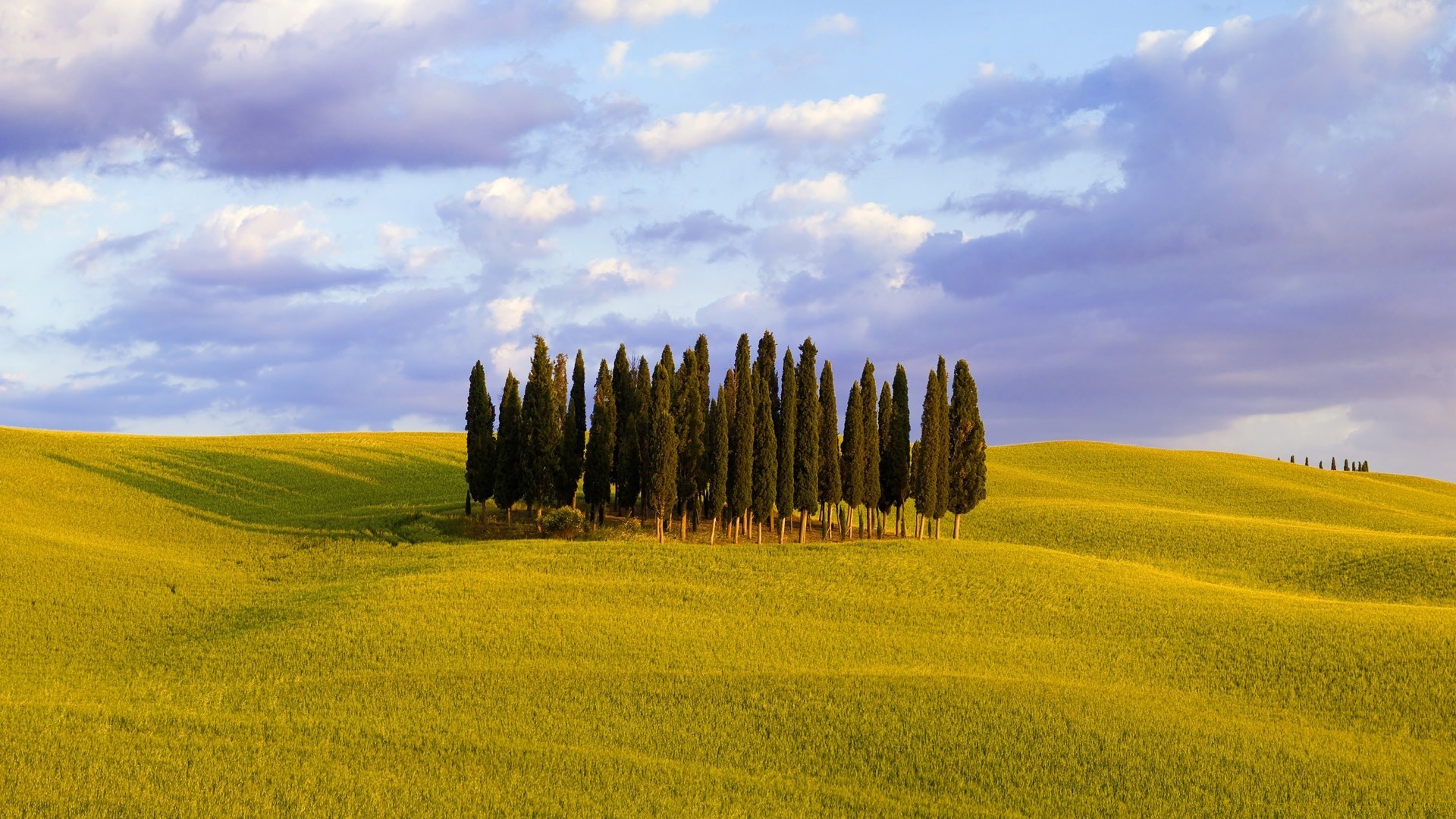 europa landschaft landwirtschaft feld landschaft ländlichen raum natur bauernhof himmel baum sommer gras weide land im freien heuhaufen zypresse gutes wetter ackerland ernte