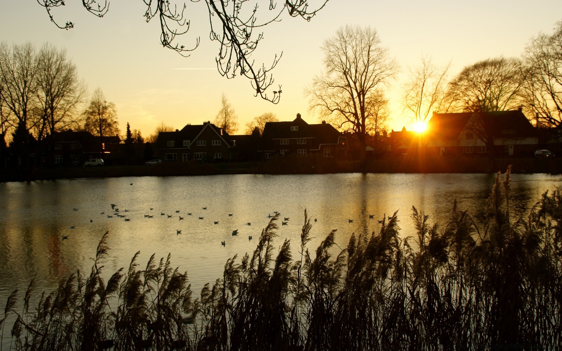 europe aube coucher de soleil réflexion eau lac nature arbre rivière paysage soirée à l extérieur ciel soleil automne crépuscule lumière piscine sang-froid silhouette