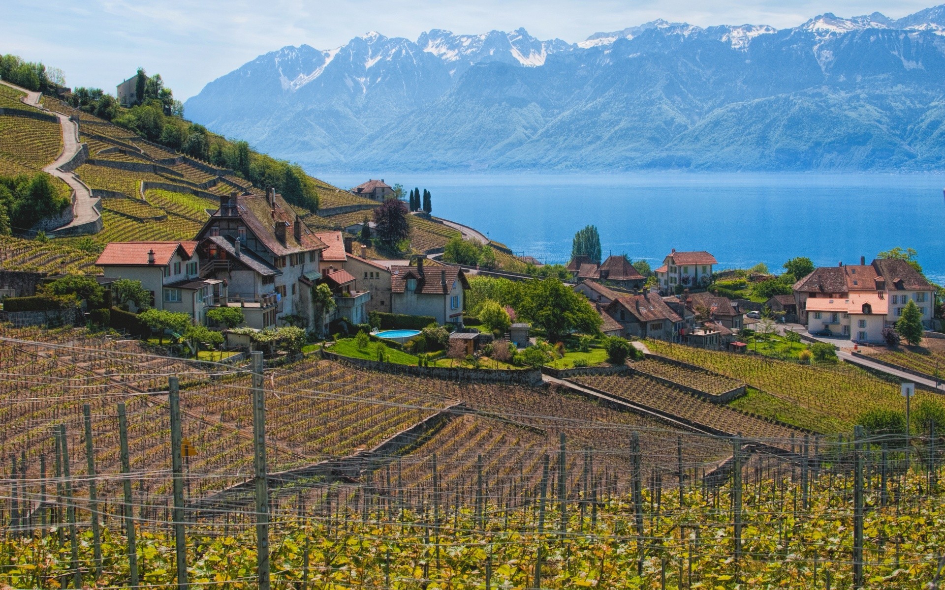 europe agriculture vignoble paysage vigne voyage terres cultivées maison ferme colline scénique nature arbre viticulture vallée maison montagnes cave extérieur champ