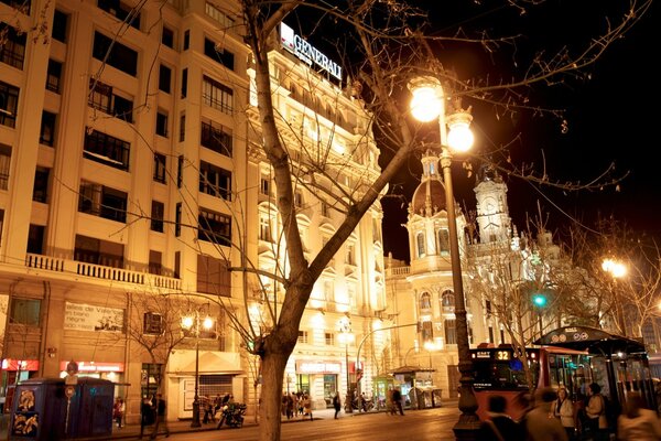 Las linternas se encienden en el árbol de otoño en la ciudad de la noche