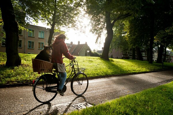 Europäische Fahrradtour mit Hund