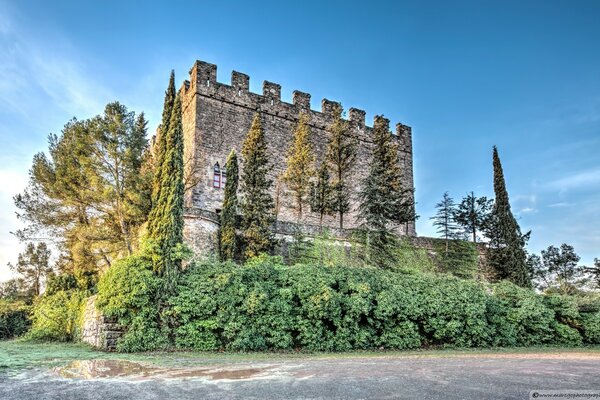 Fortaleza rodeada de árboles en la orilla