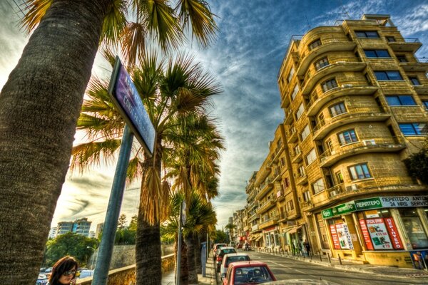 Bella vista della città con alte palme