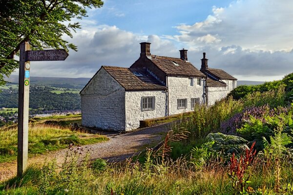 Fresh rustic landscape , lonely house