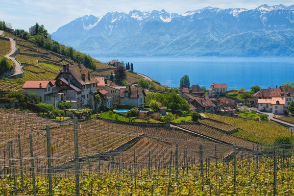 Agriculture en Europe