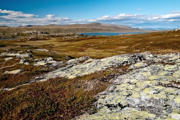 Paesaggio roccioso con erba morta