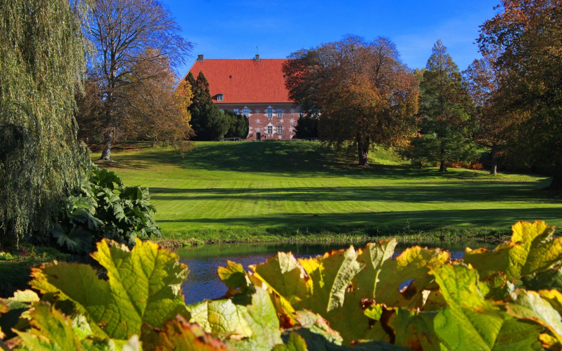 europa autunno albero all aperto natura paesaggio foglia erba campagna scenic rurale stagione cielo luce del giorno estate parco