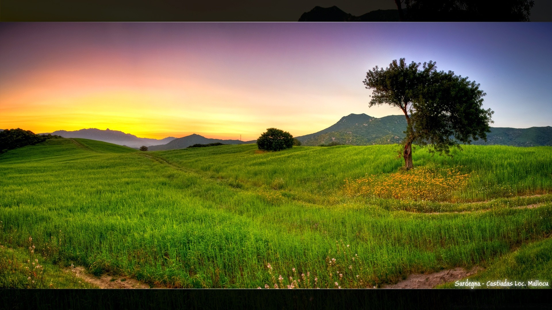 europe paysage champ nature herbe foin arbre aube ciel coucher de soleil été pays soleil rural nuage horizon ferme spectacle belle campagne flore