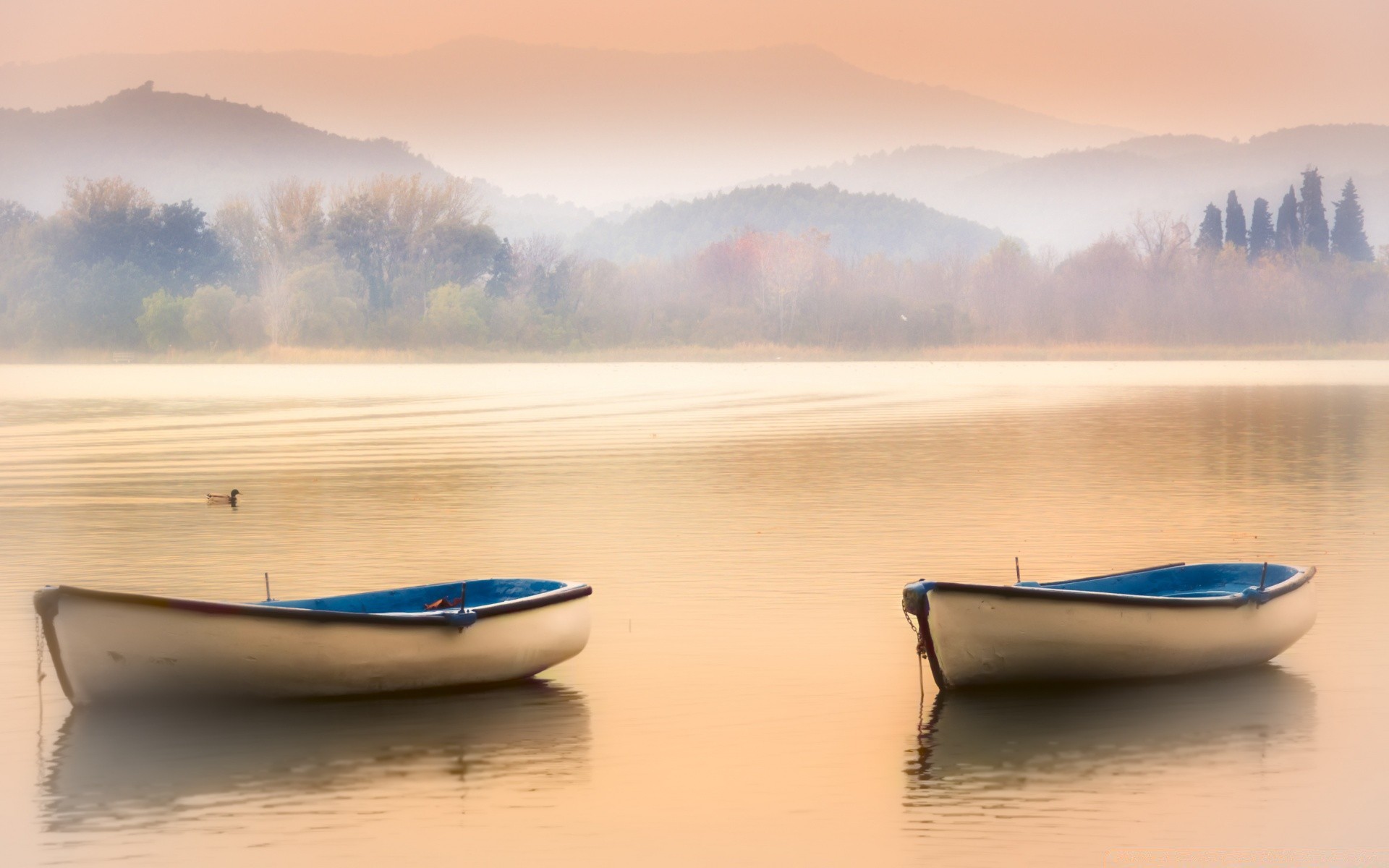 europe eau bateau coucher de soleil aube voyage bateau mer crépuscule sang-froid baida soleil ciel pêcheur lac plage réflexion brouillard bateau à rames en plein air