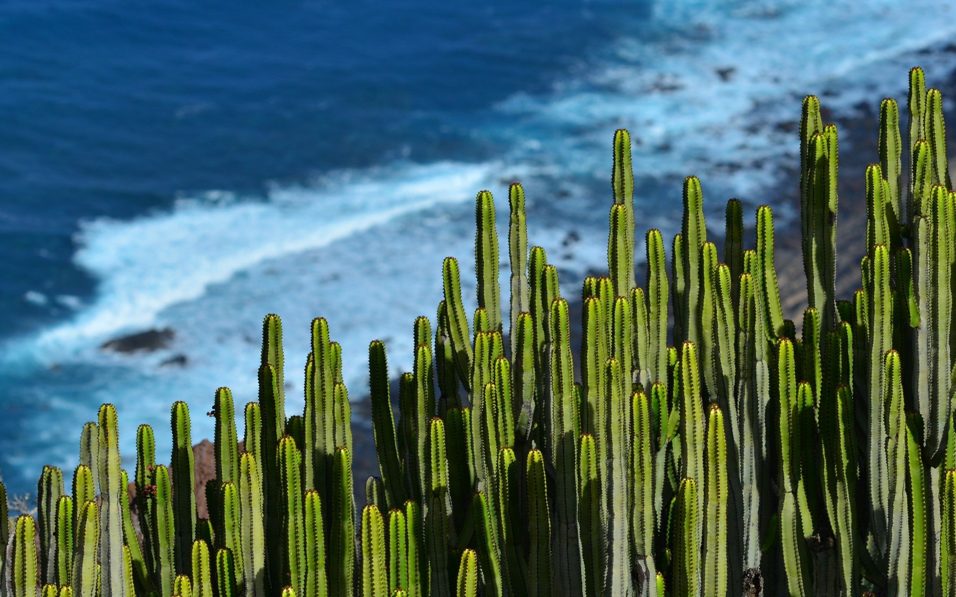 europa natura acqua all aperto alba paesaggio sole spiaggia estate mare cielo flora