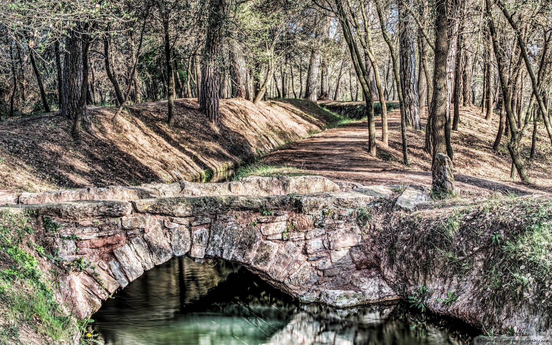 europa natura di legno albero di acqua paesaggio di viaggio all aperto fiume bella parco selvaggio flora foglia ambiente estate cielo flusso scenic stagione