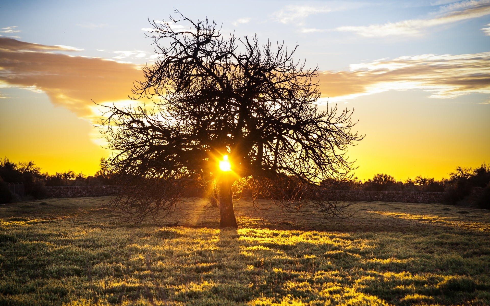 europa tramonto alba sole natura albero paesaggio bel tempo cielo sera rurale crepuscolo all aperto campagna autunno erba estate luminoso