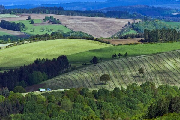 El bosque caducifolio es reemplazado por un campo arado y continúa en una serie de prados