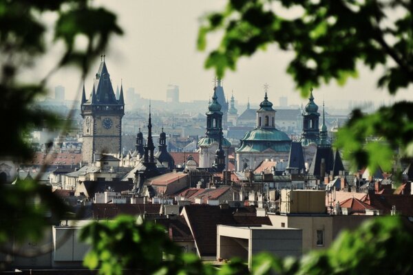 Am Horizont sieht man die Stadtkirche