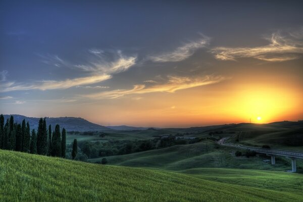 Sonnenuntergang über dem grünen Feld