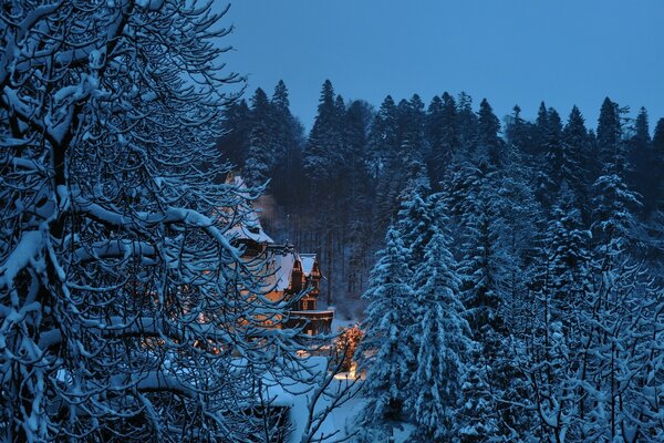 Märchenhaftes Haus im Winterwald