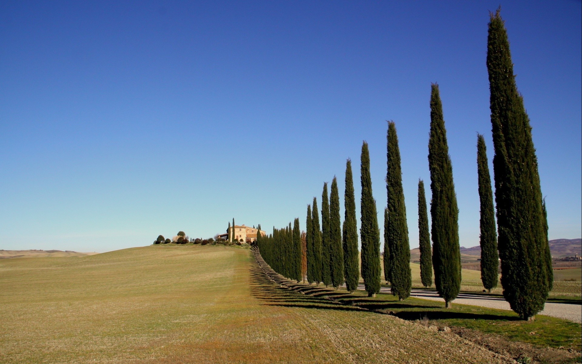 europa paisaje al aire libre árbol cielo naturaleza hierba ciprés campo viajes otoño rural carretera campo verano luz del día agricultura madera buen tiempo tierra cultivada