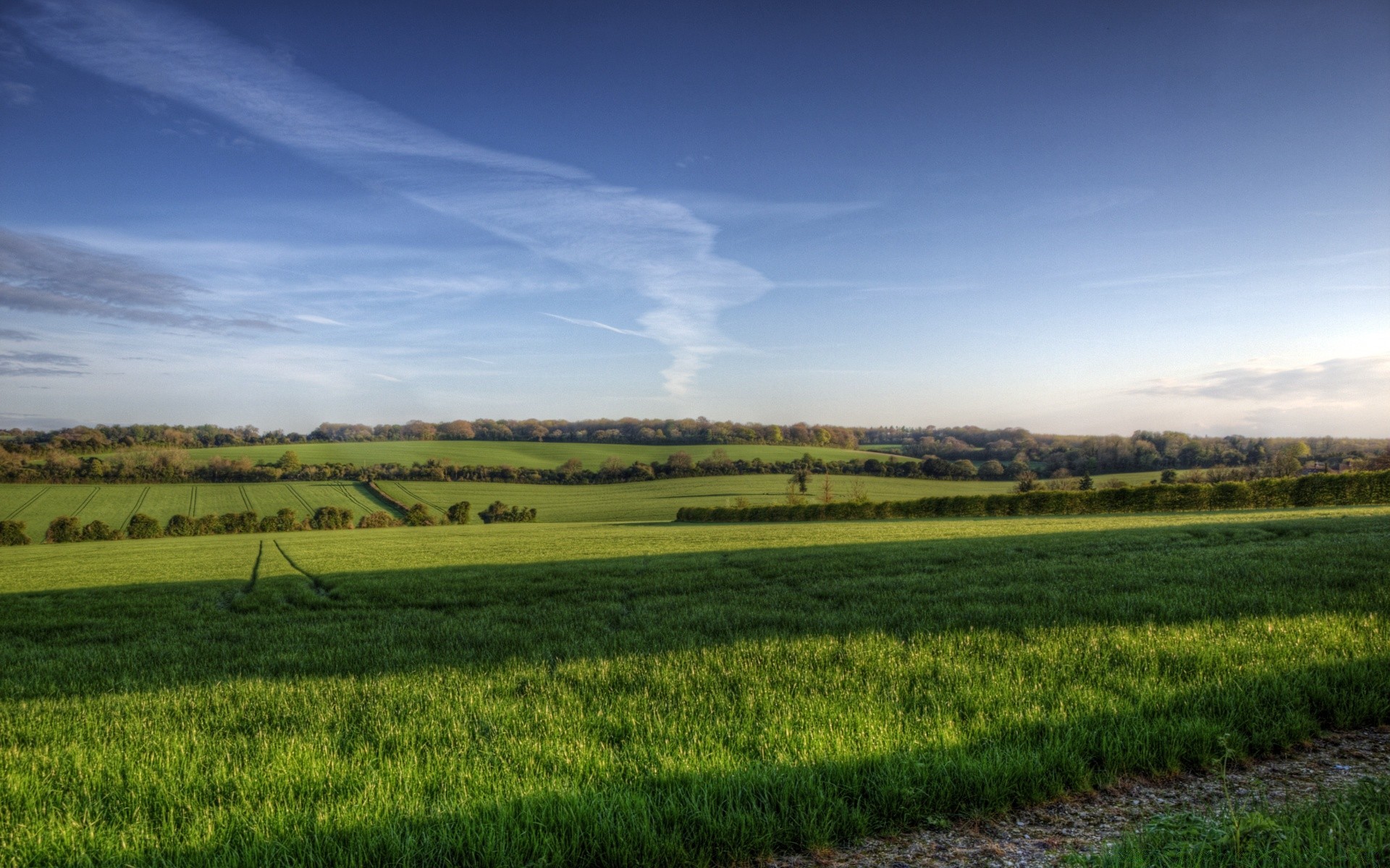 l europe l agriculture paysage champ ferme terres cultivées rural nature campagne récolte ciel pâturage croissance herbe flocons à l extérieur arbre blé été sol