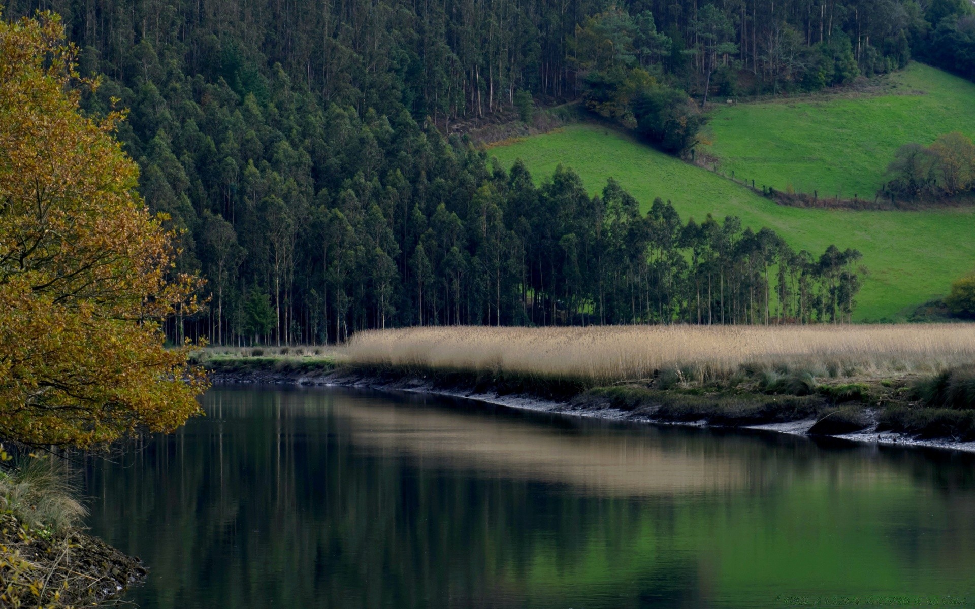 europa acqua fiume lago paesaggio albero all aperto natura riflessione legno viaggio scenico autunno luce del giorno