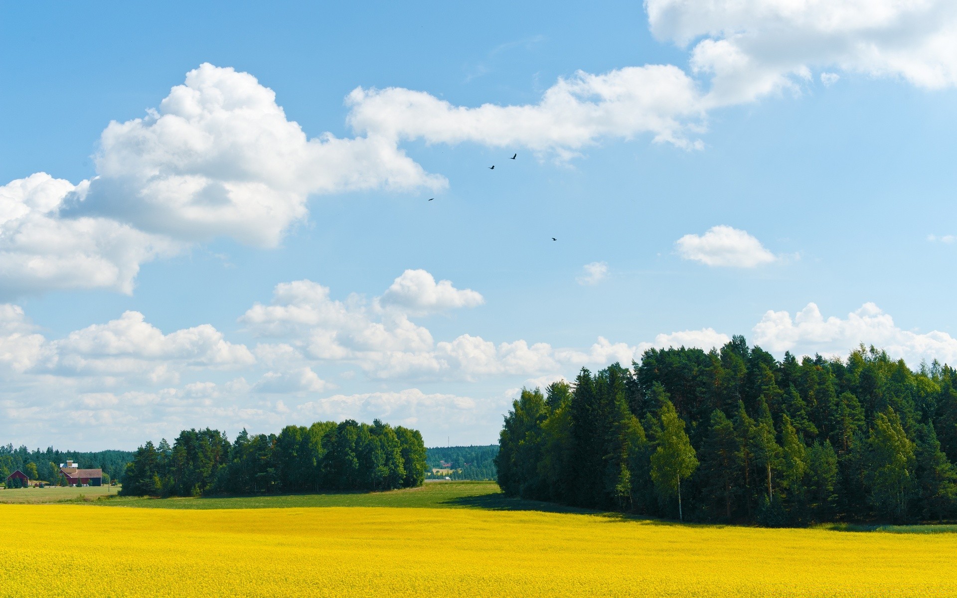 europe landscape agriculture field sky farm nature tree rural countryside summer horizon crop outdoors cloud pasture country hayfield scenic daylight