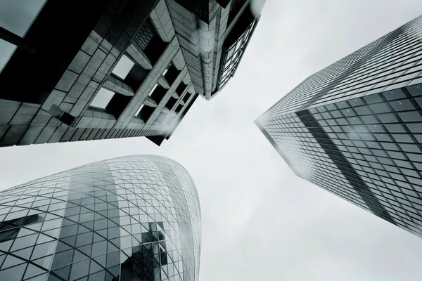 Высокие современные стеклянные здания