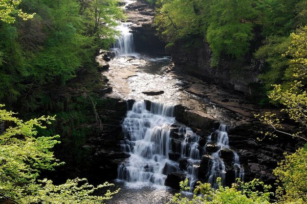 Rivière en Europe, cascades parmi les arbres