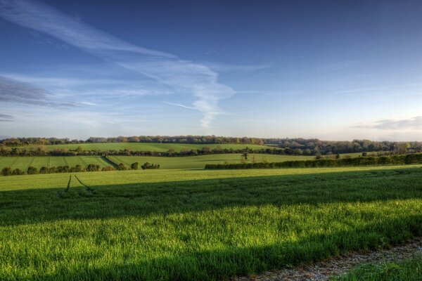 Feld, Landschaft des ländlichen Raums