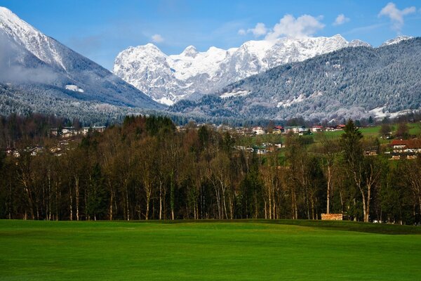 Die grüne Waldlichtung ist von schneebedeckten Bergen bedeckt