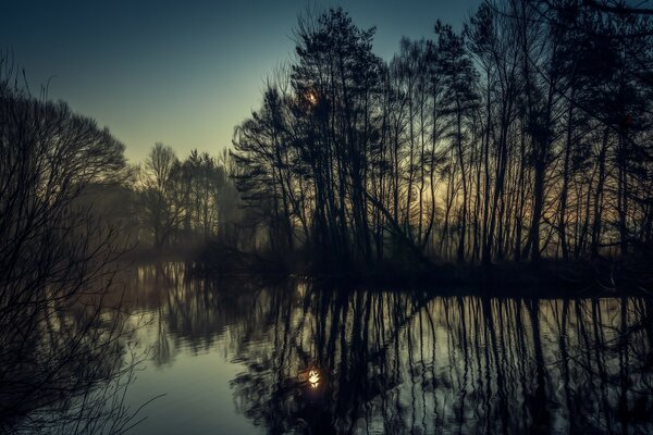 Hohe Bäume spiegeln sich im Fluss wider