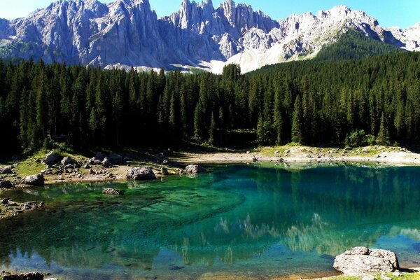 Lago cerca del bosque y las montañas