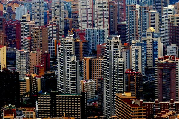 Bright skyscrapers in the city center