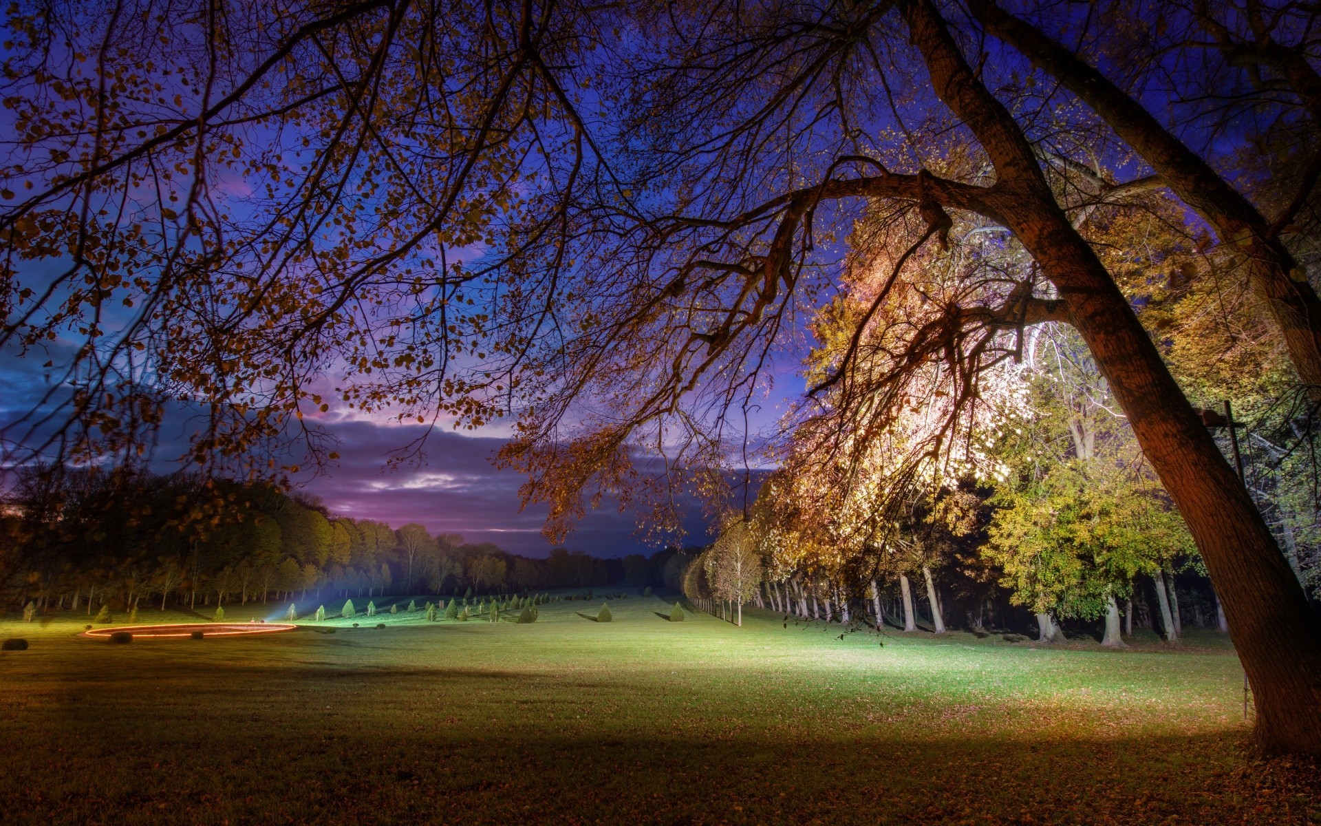 europa baum landschaft herbst park natur dämmerung holz licht landschaftlich blatt im freien filiale jahreszeit gutes wetter abend sonne